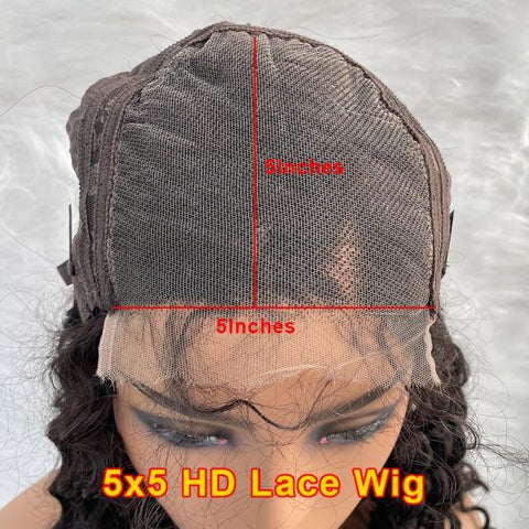 5×5 HD Lace Closure Wig Body Wave Brazilian Virgin Hair HD Lace Wigs