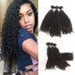 Brazilian Kinky Curly Hair 3 Bundles 