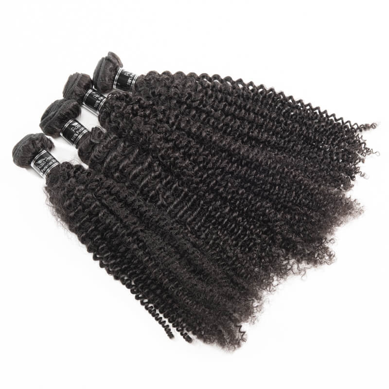 Brazilian Kinky Curly 4 Bundles Virgin Hair Extension Hair Bundles Hair Weave