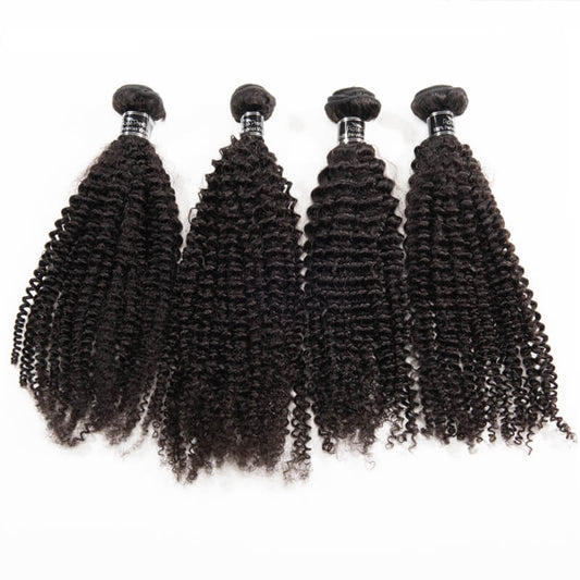 Brazilian Kinky Curly 4 Bundles Virgin Hair Extension Hair Bundles Hair Weave